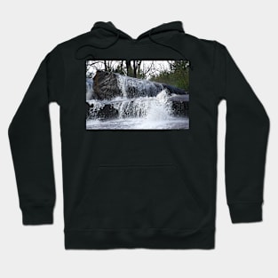 Cold Water Hoodie